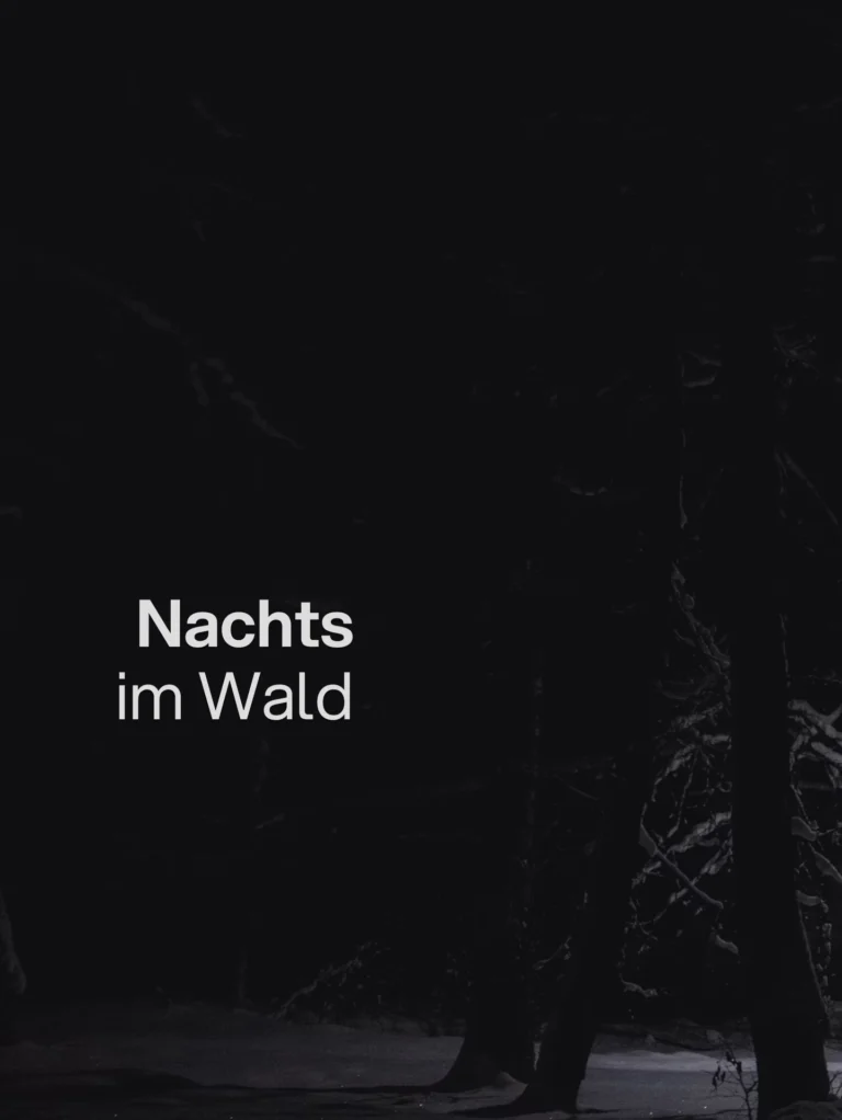 Instagram post from heinz.schiebel. This post is in position 2.